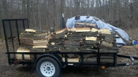 [Hearth.com] Hickory (Finally got some split)