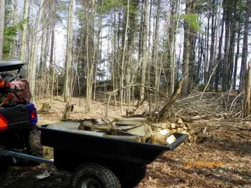 [Hearth.com] Cleaning Up the Woods Part 1