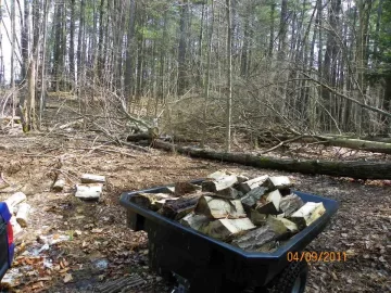 [Hearth.com] Cleaning Up the Woods Part 1