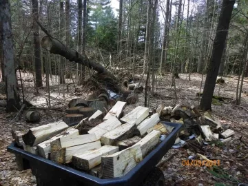 [Hearth.com] Cleaning Up the Woods Part 1