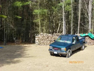 [Hearth.com] Cleaning Up the Woods Part 1