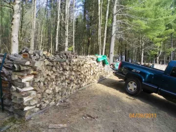 [Hearth.com] Cleaning Up the Woods Part 1