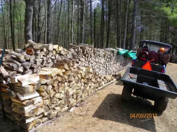 [Hearth.com] Cleaning Up the Woods Part 1