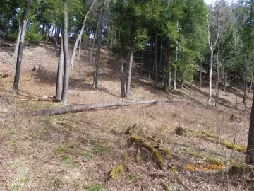 [Hearth.com] Trail Cleared with a Cherry at the End.