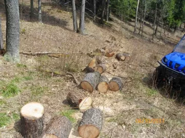 [Hearth.com] Trail Cleared with a Cherry at the End.