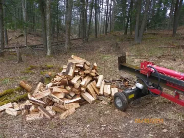 [Hearth.com] Trail Cleared with a Cherry at the End.