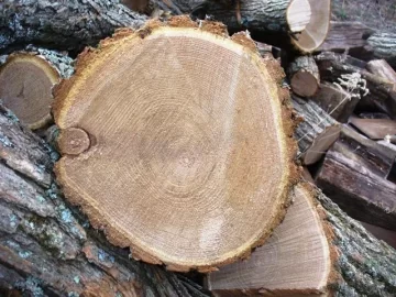 [Hearth.com] A couple of ID's please