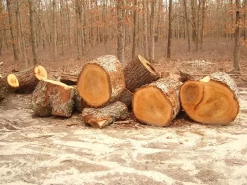 [Hearth.com] Did a little splitting...