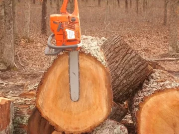 [Hearth.com] Did a little splitting...