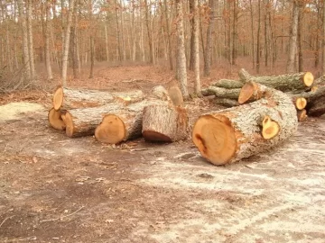 [Hearth.com] Did a little splitting...