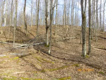 [Hearth.com] 2nd Beech Down