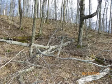 [Hearth.com] 2nd Beech Down