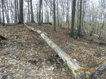 [Hearth.com] More Blow Down