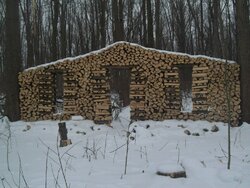 wood pile (7).jpg