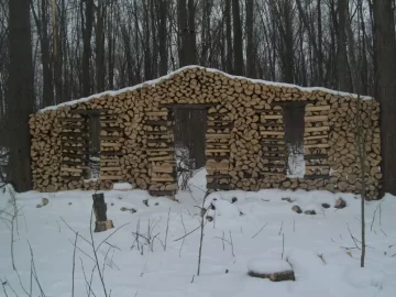 [Hearth.com] huge oak to come down