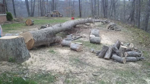 [Hearth.com] Got a nice white Oak down last night