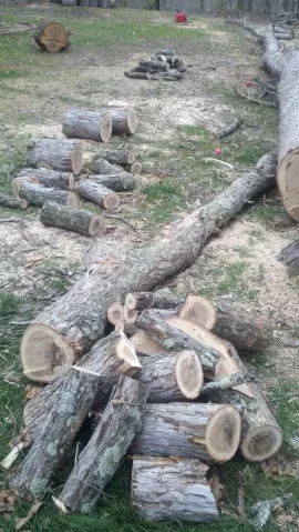 [Hearth.com] Got a nice white Oak down last night