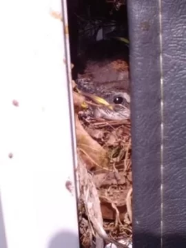 [Hearth.com] I snuck up on him....