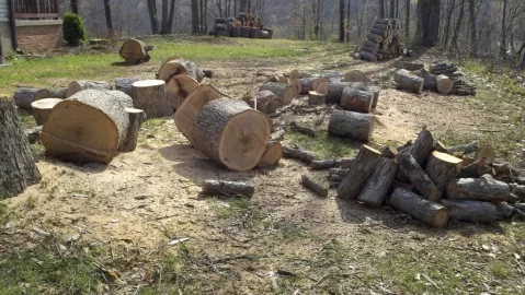 [Hearth.com] Got a nice white Oak down last night
