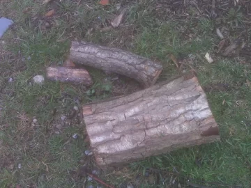 [Hearth.com] Wood Id (Help...) (Pretty please?...)