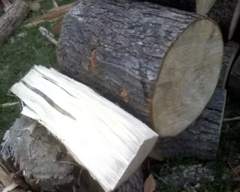 [Hearth.com] wood ID, curly maple?