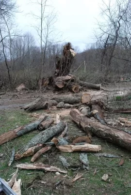 [Hearth.com] Massive Ash takes revenge on WoodButcher