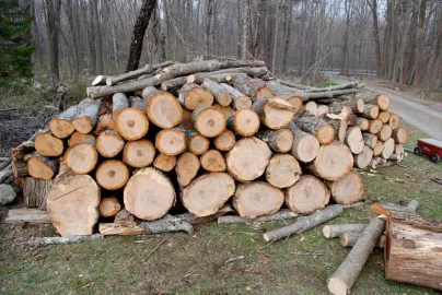 [Hearth.com] Free wood stacks getting bigger