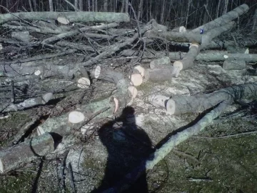 [Hearth.com] Free wood stacks getting bigger