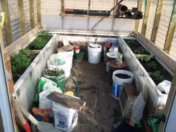 [Hearth.com] Greenhouse update pics