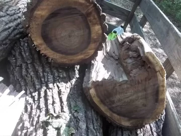 [Hearth.com] Is This Black Walnut?