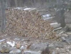 wood stack.jpg