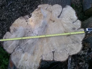 [Hearth.com] Vertical Splitting - Avatar?