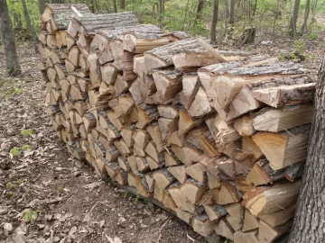 [Hearth.com] Chestnut Oak c/s/s