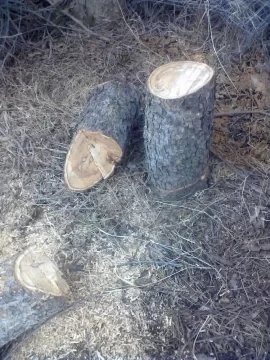 [Hearth.com] My new chainsaw's first job