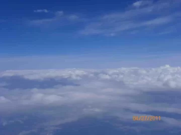 [Hearth.com] North Carolina / Flight Back