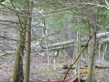 [Hearth.com] Mother Nature Gives Again