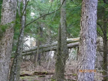[Hearth.com] Mother Nature Gives Again