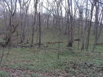 [Hearth.com] Good Start on cleanup of deadfall & a few snags at parent's acreage today