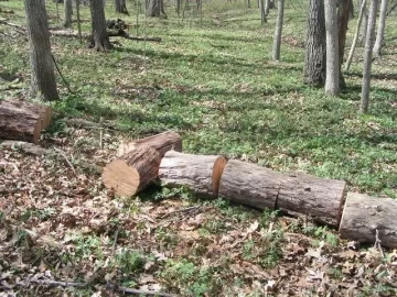 [Hearth.com] Good Start on cleanup of deadfall & a few snags at parent's acreage today