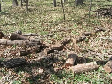 [Hearth.com] Good Start on cleanup of deadfall & a few snags at parent's acreage today