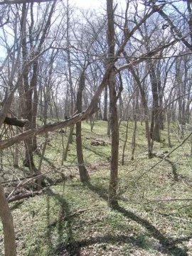 [Hearth.com] Good Start on cleanup of deadfall & a few snags at parent's acreage today