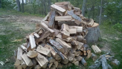 [Hearth.com] Got a nice white Oak down last night