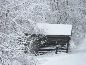 [Hearth.com] A few photos from this past winter