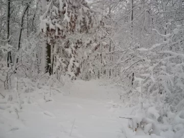 [Hearth.com] A few photos from this past winter
