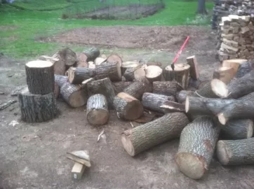 [Hearth.com] this weeks wood