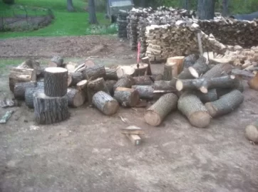 [Hearth.com] this weeks wood