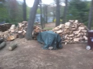 [Hearth.com] this weeks wood