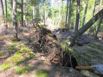 [Hearth.com] Uprooted/Leaner/Hung Up Cherry Down!