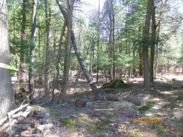 [Hearth.com] Uprooted/Leaner/Hung Up Cherry Down!