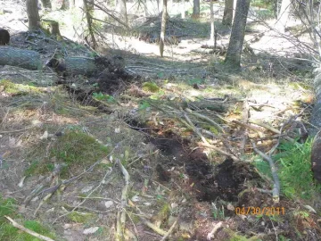 [Hearth.com] Uprooted/Leaner/Hung Up Cherry Down!
